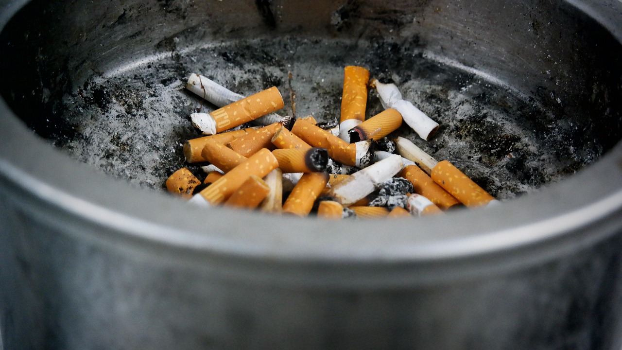 cigarro13