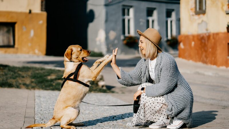 Vínculos de Amor: Mulheres e Seus Pets