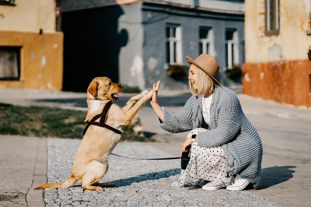 Vínculos de Amor: Mulheres e Seus Pets