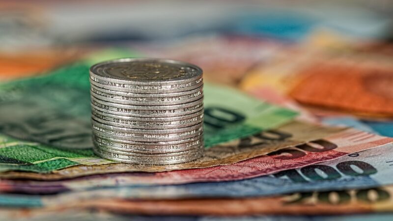 Consciência Financeira: Mulheres Sem Dívidas.
