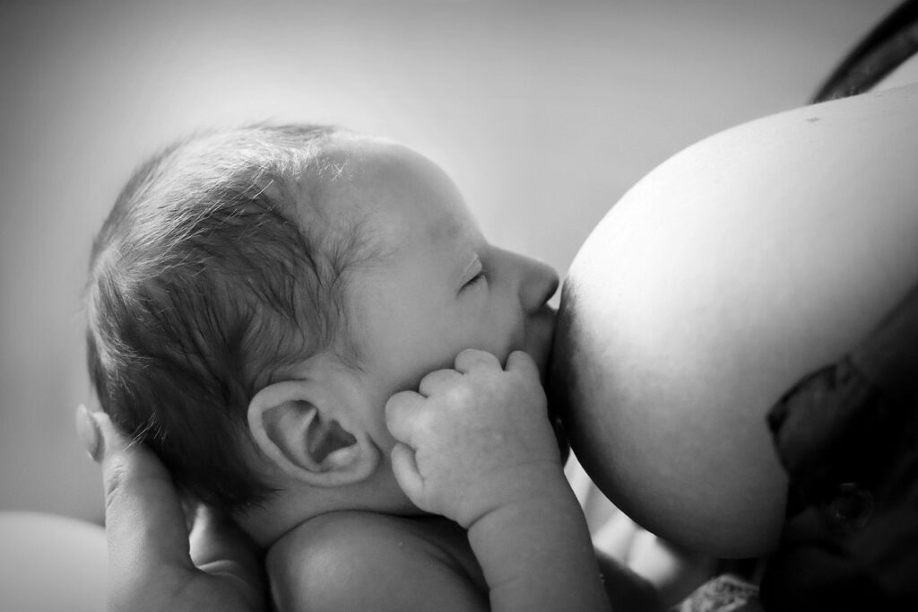 Fotografia em close-up focando na pega correta do bebê ao seio materno. A imagem mostra o lábio inferior do bebê voltado para fora e o queixo encostado na mama, servindo como guia visual para uma amamentação sem dor e eficiente.