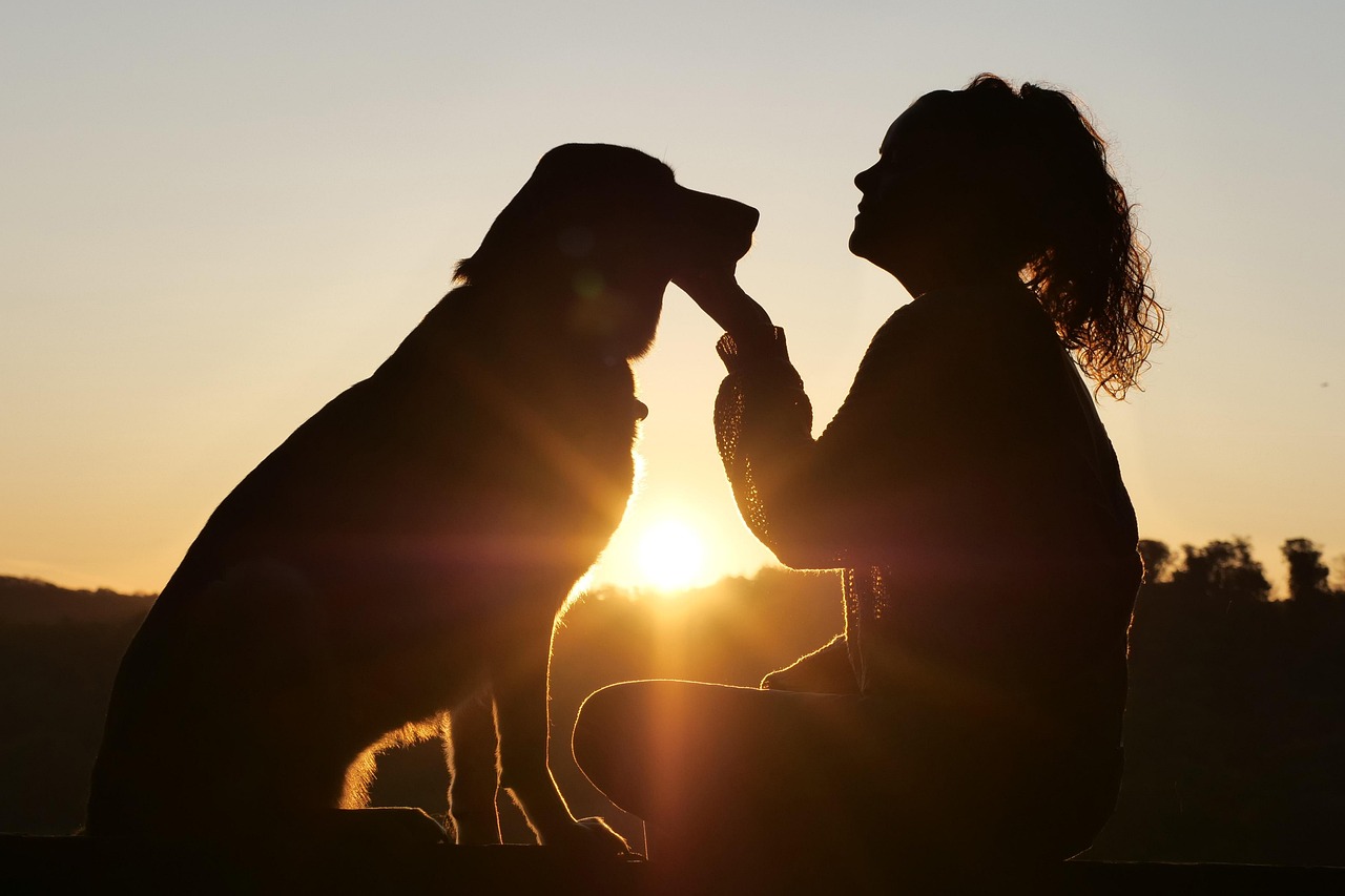 Tutoras e Cães: Motivos dessa Conexão Genuína.