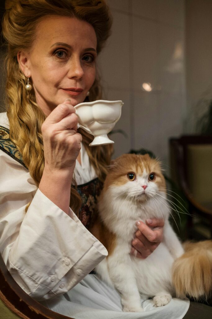 gatos10
