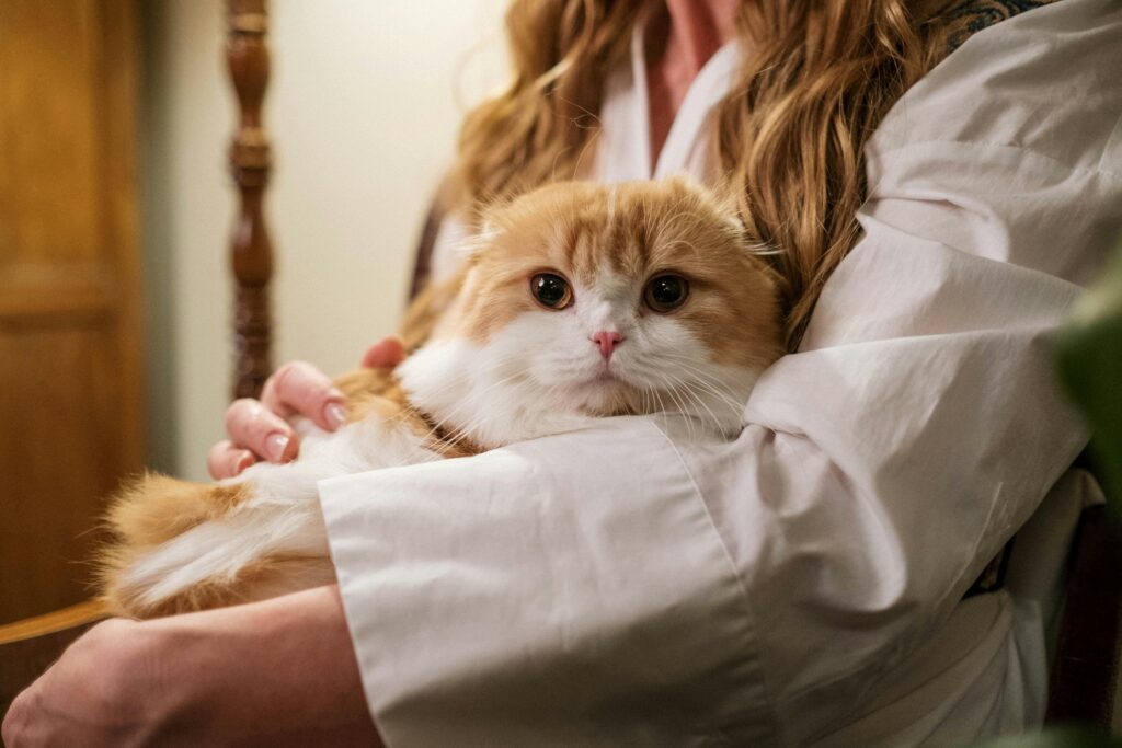 Mulher relaxada no sofá com um gato em seu colo, simbolizando conforto e paz.