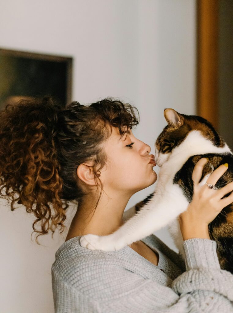 gatos6