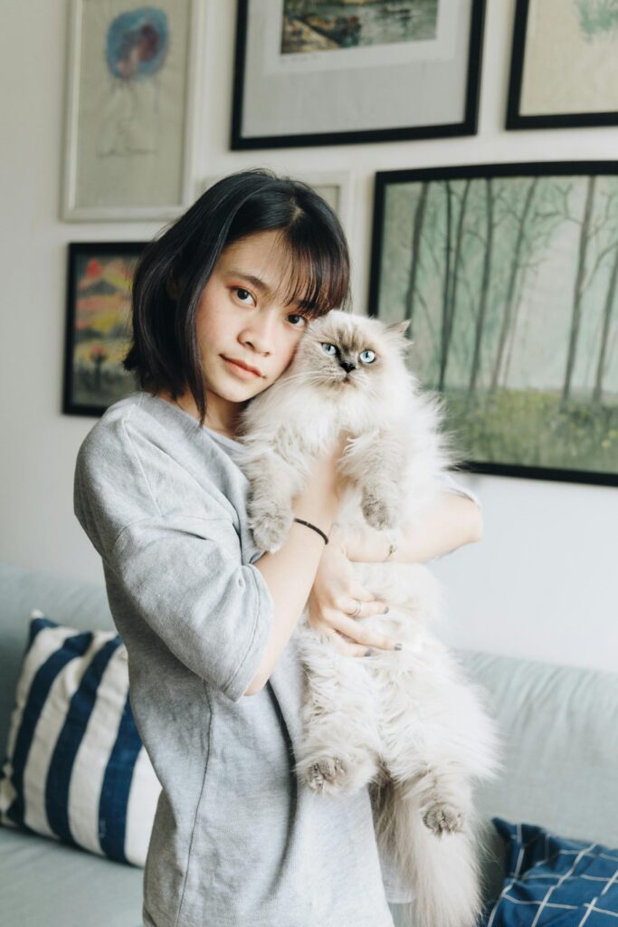 gatos4