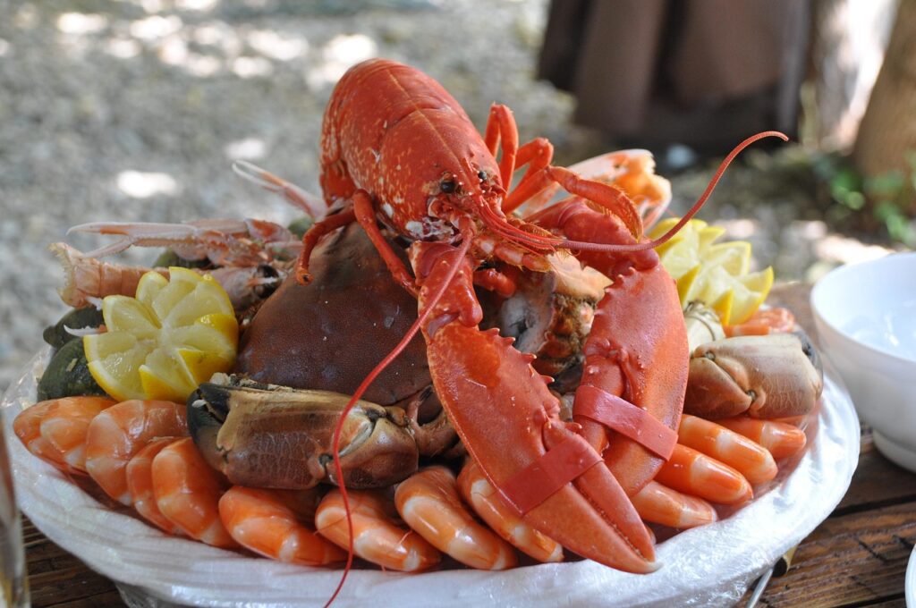 comer8