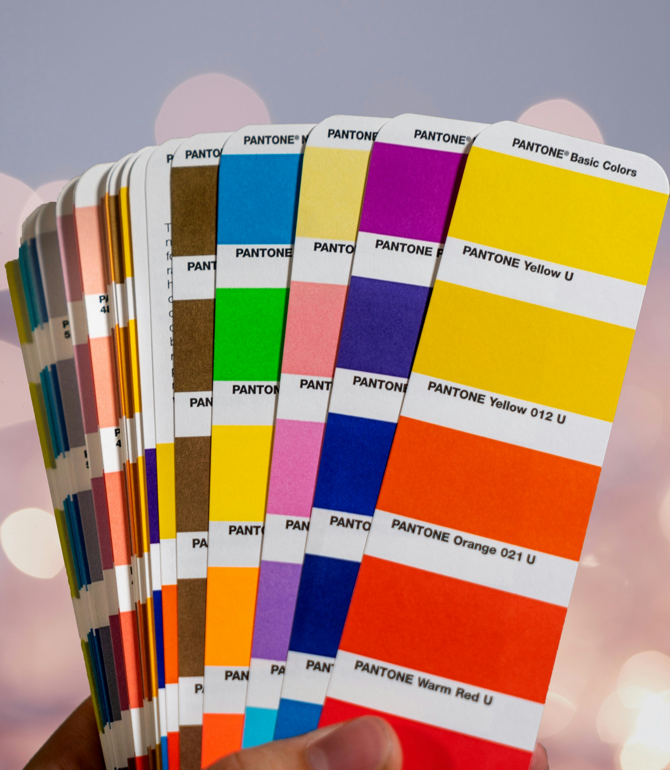 Pantone: As Cores que Dominam a Moda.